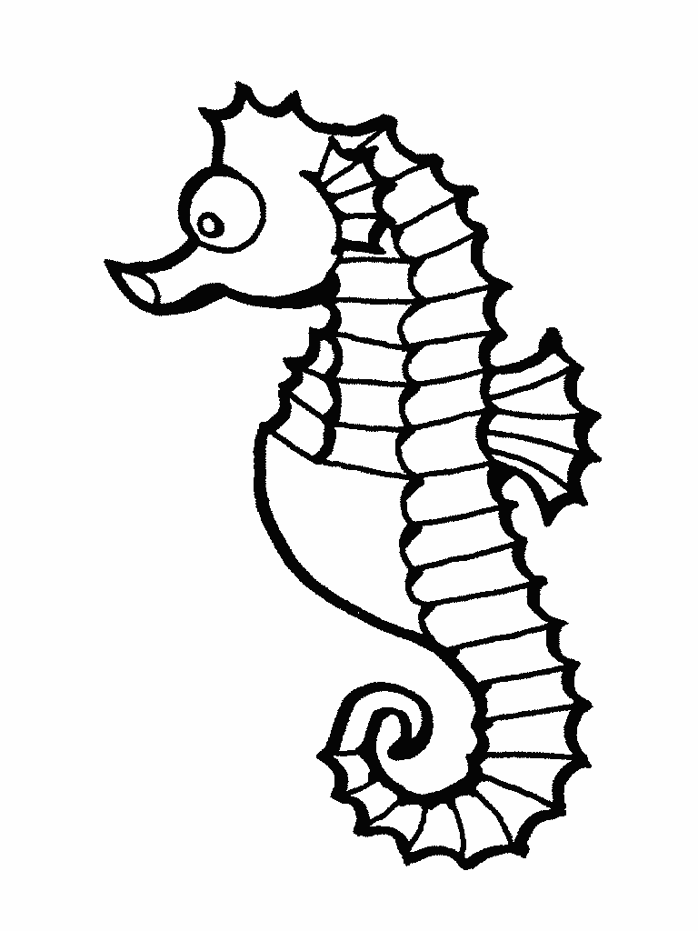 768x1024 Animal Drawings Seahorse Drawing In Black And White To Color
