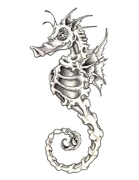 480x622 Seahorse Skeleton Tattoo Drawing Photo