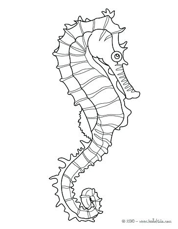364x470 Cartoon Seahorse Coloring Pages Box Download Free Sea Horse Page 6