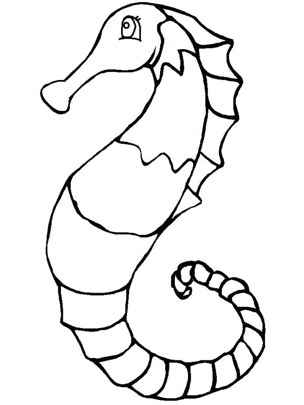 600x800 Seahorse Coloring Pages A N Artistic Drawing Of Seahorse Coloring