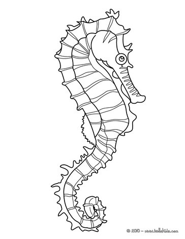 364x470 Seahorse Coloring Printables Tags Seahorse Colouring In How