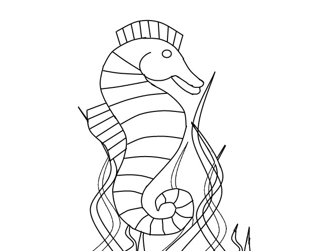 650x500 Seahorse Template