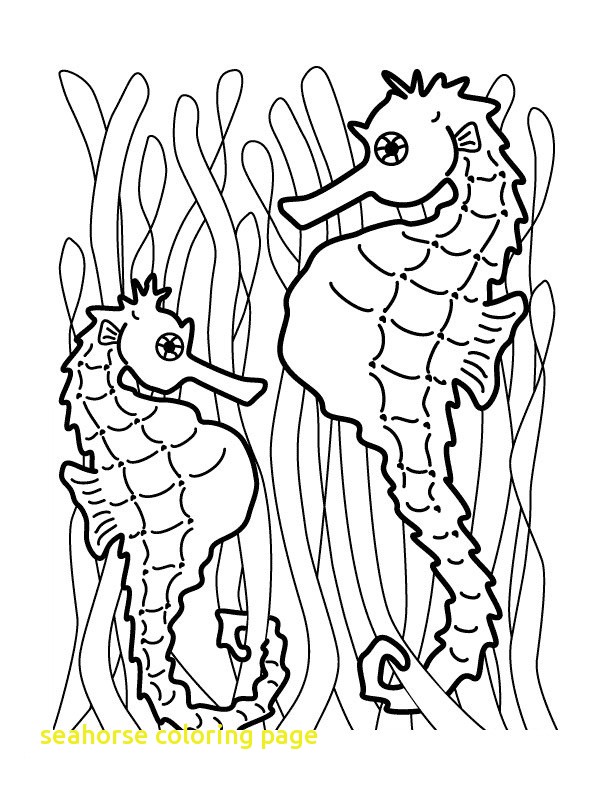 612x792 Seahorse Coloring Page With Free Printable Seahorse Coloring Pages