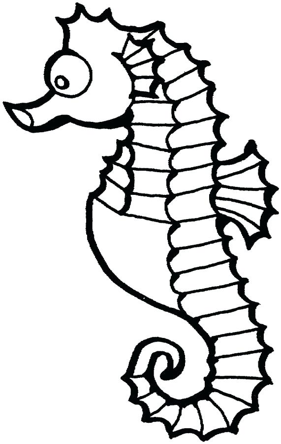 571x900 Seahorse Pictures To Color Full Size Of Coloring Seahorse