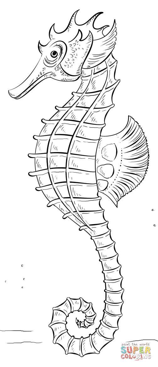 503x1168 Seahorse Coloring Page Free Printable Coloring Pages