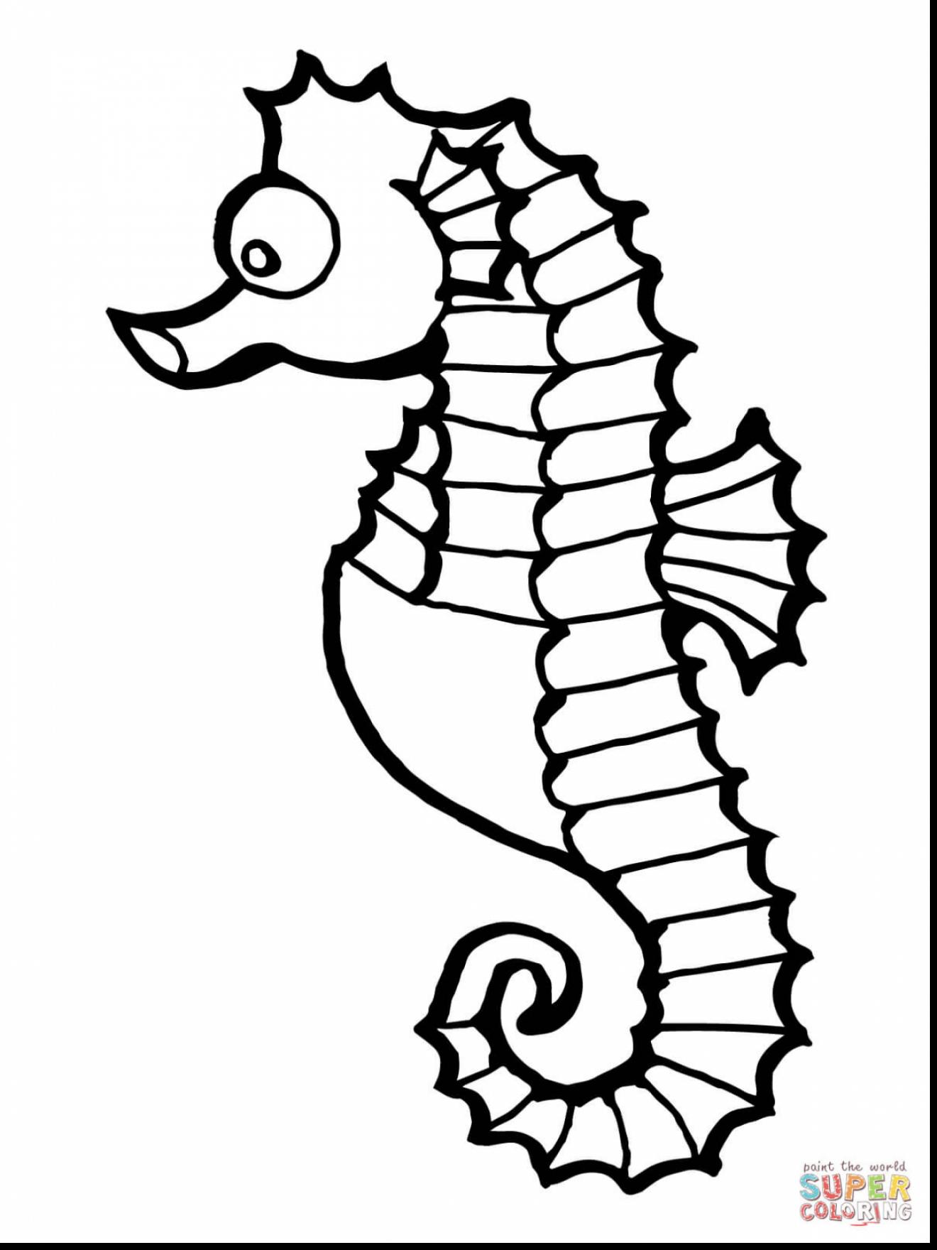 Seahorse Drawing Outline at GetDrawings | Free download