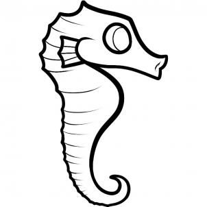 Seahorse Easy Drawing