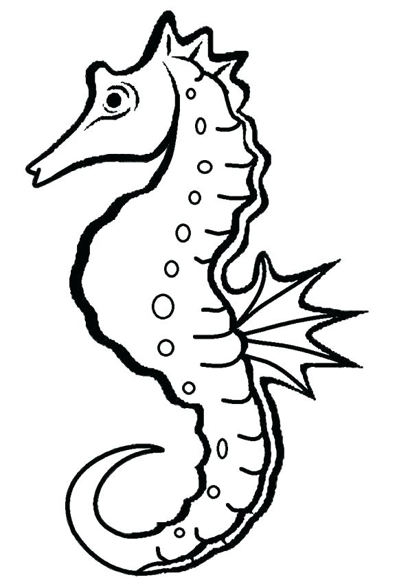 578x850 Seahorse Coloring Page Awesome Pages In Free Colouring