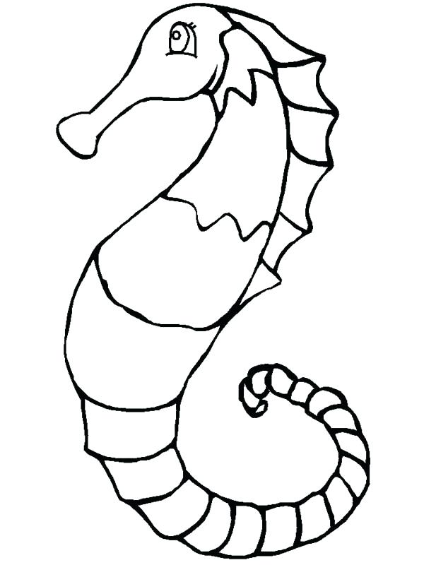 Seahorse Easy Drawing at GetDrawings | Free download