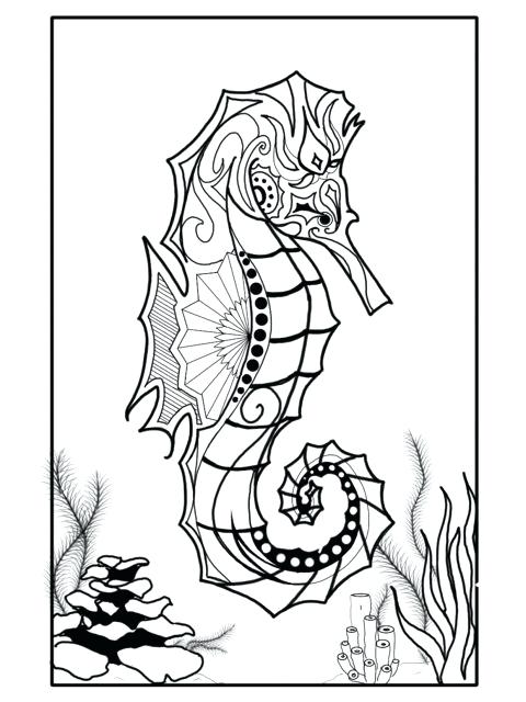 480x640 Sea Horse Coloring Pages Seahorse Coloring Pages Unit Study