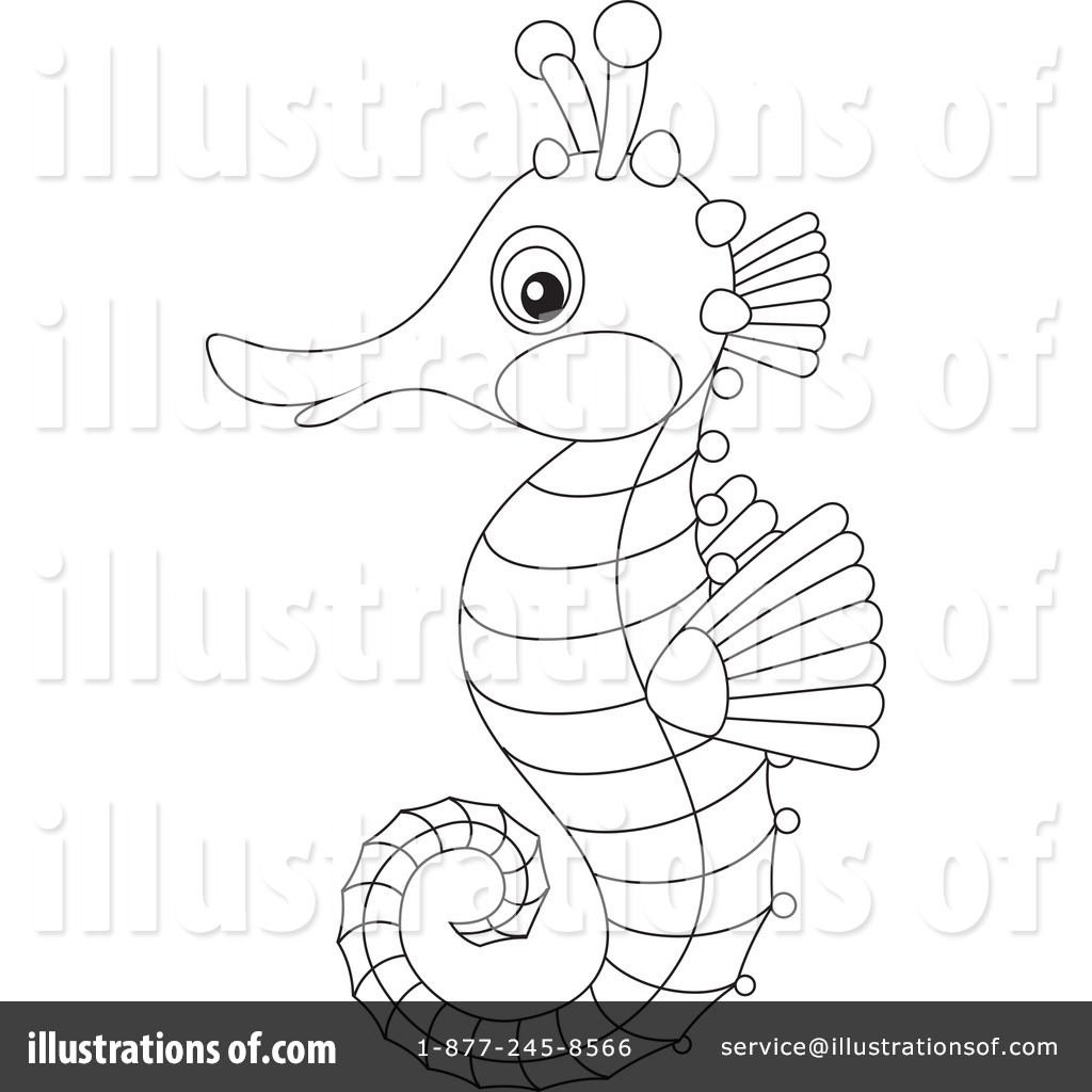 1024x1024 Seahorse Clipart