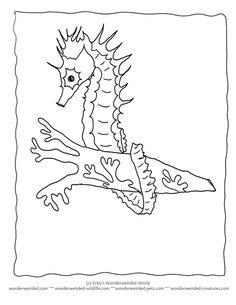 236x305 Seahorse Animal Mandalas To Color,free Seahorse Coloring Pages