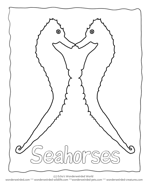 612x792 Bird Outline Template 560918