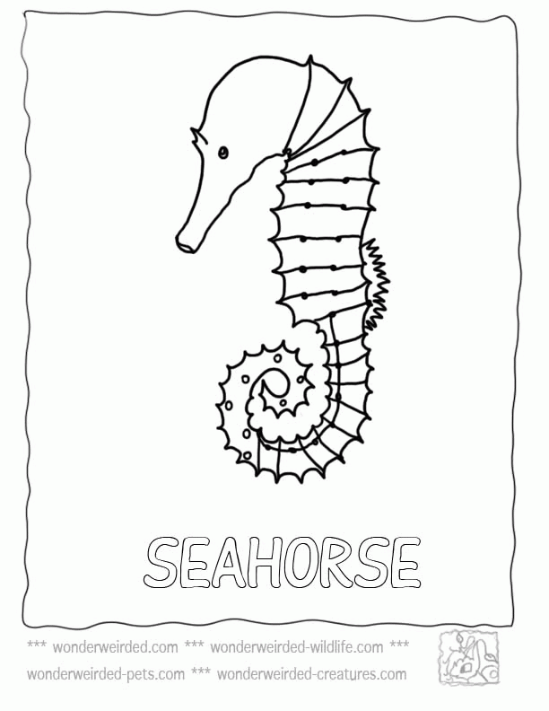 612x792 Coloring Pages Kids Printable Seahorse Coloring Page Mandala Pages
