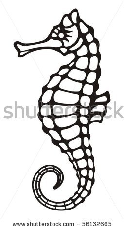 255x470 Of A Seahorse On White Cricut Machine Seahorses