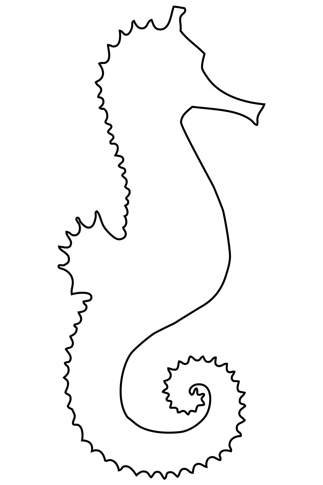 1280x1920 Seahorse Outline Clipart Free Seahorse Clipart