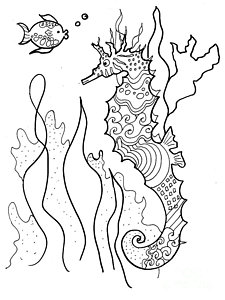 225x300 Seahorses Drawings