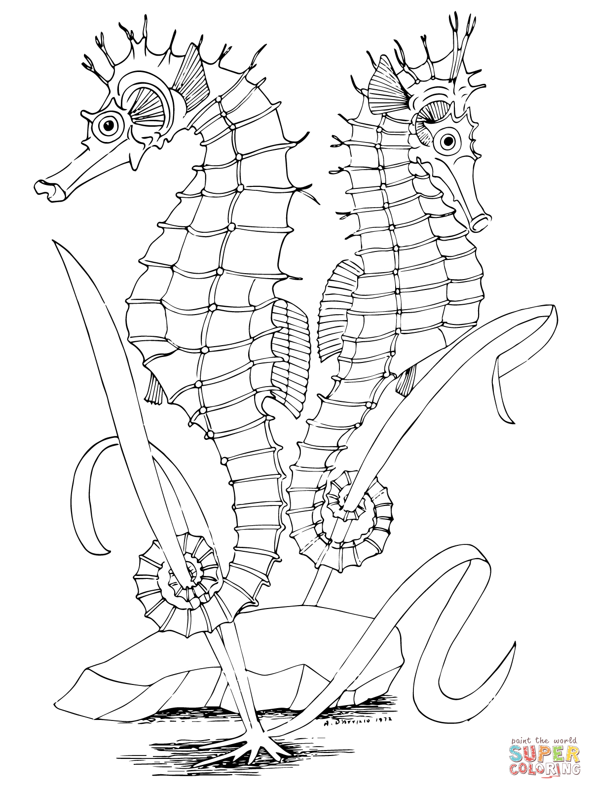 1200x1600 Two Seahorses Coloring Page