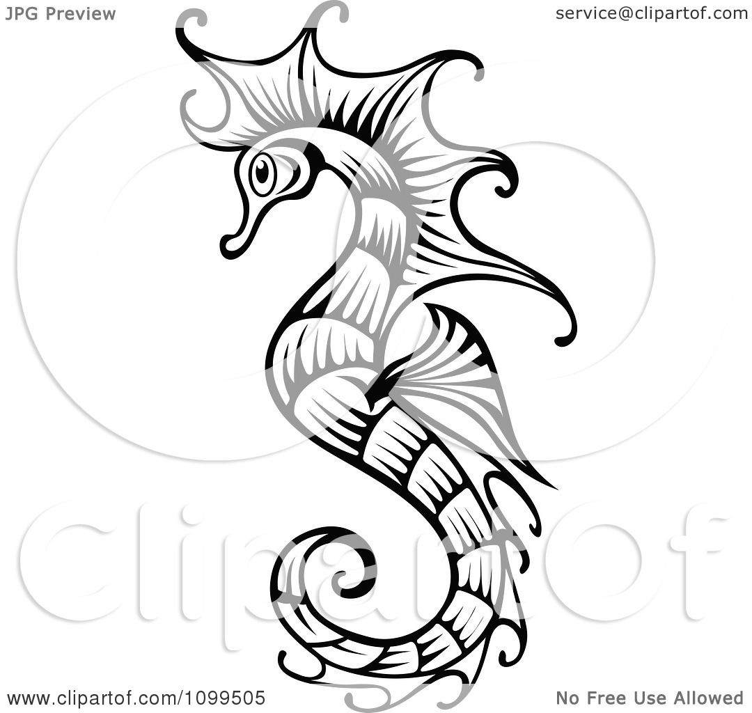 1080x1024 Clipart Ornate Black And White Seahorse