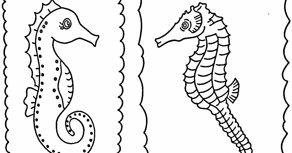 1000x525 Drawing A Seahorse