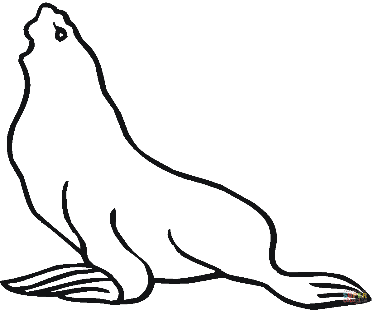 1200x997 Seal 12 Coloring Page Free Printable Coloring Pages