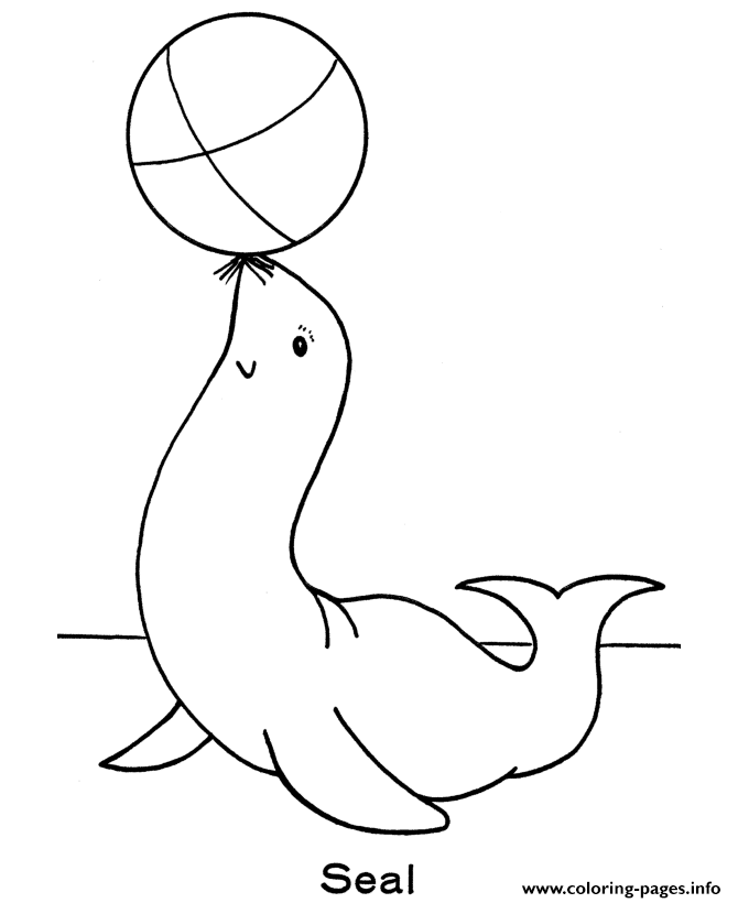 670x820 Seal Preschool S Zoo Animalsf97c Coloring Pages Printable