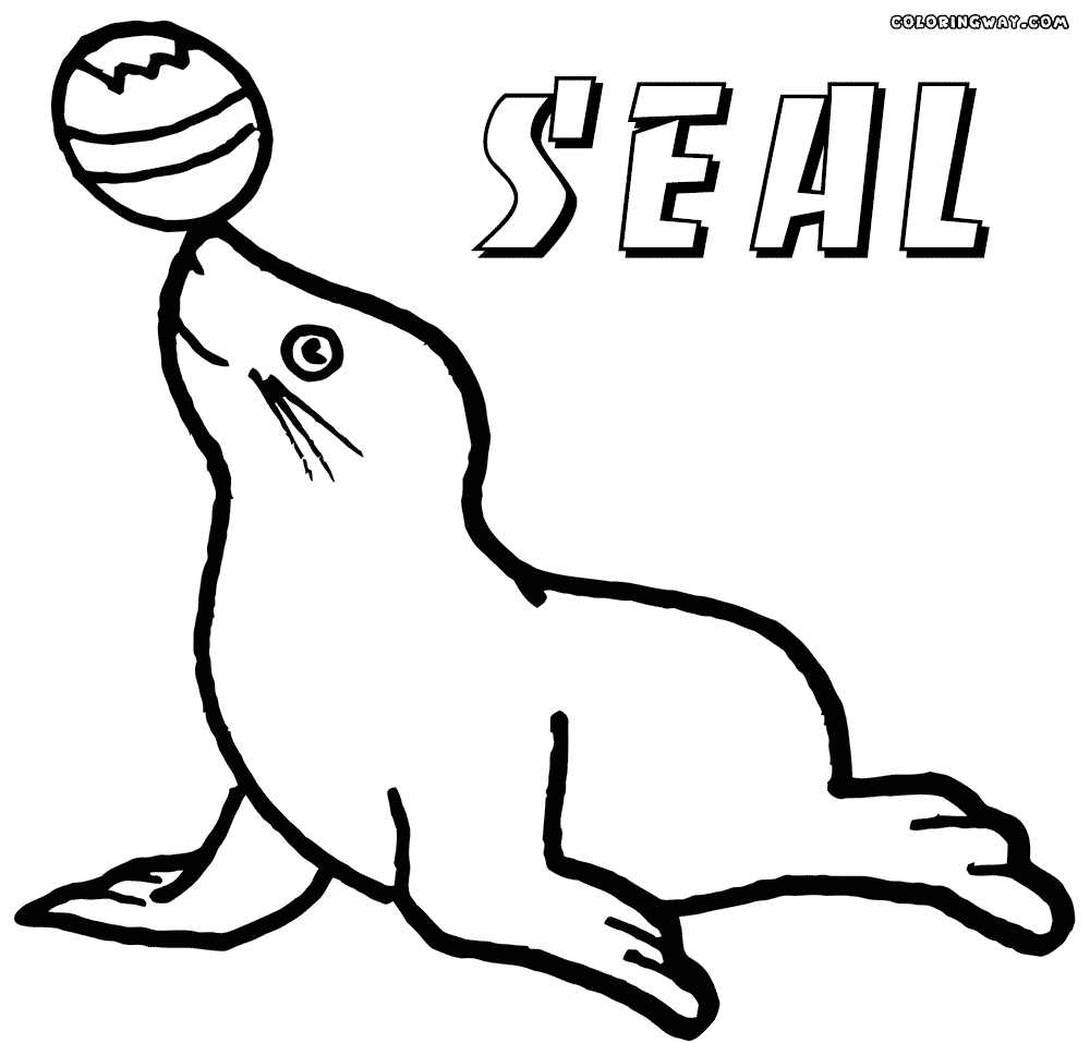 1000x957 Seal Coloring Pages Coloring Pages To Download And Print