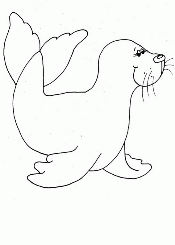567x794 Swimming Seal Coloring Page