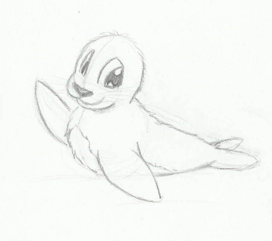 900x800 Seal Sketch By Phoenixa86