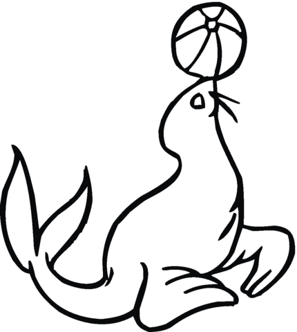 430x480 Seal Play The Ball Coloring Page Free Printable Coloring Pages
