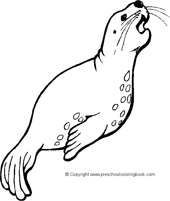 575x680 Ocean Life Coloring Page