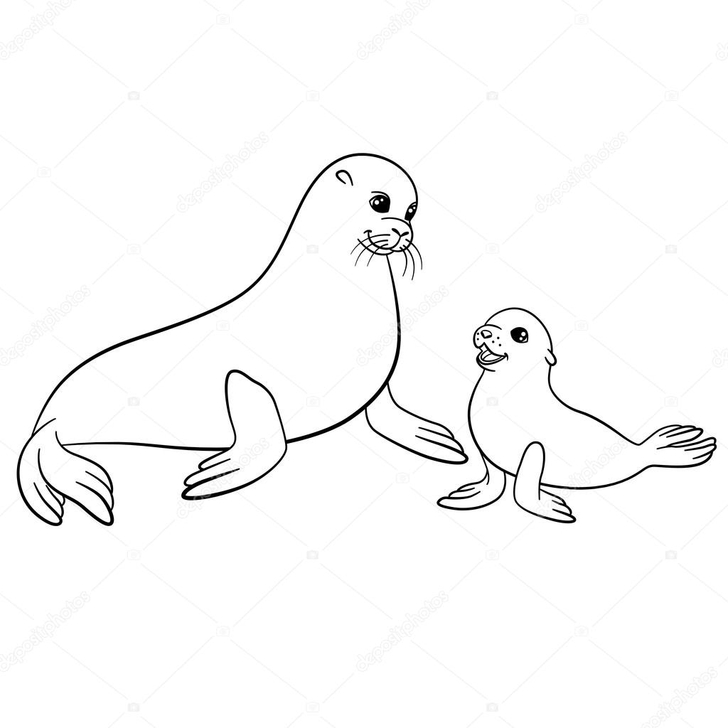 1024x1024 Coloring Pages. Mother Fur Seal With Her Cute Baby. Stock Vector