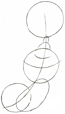 223x391 How To Draw Cartoon Seals Playing With Ball On Nose Drawing Lesson