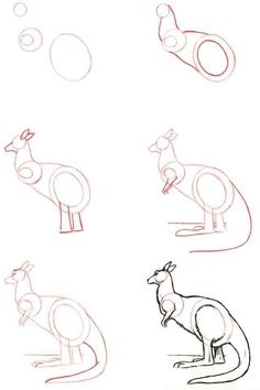 236x354 Learn To Draw Seal