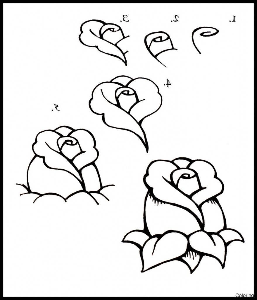 879x1024 Baby Seal Drawing Step By For Kids Coloring How To Draw Easy