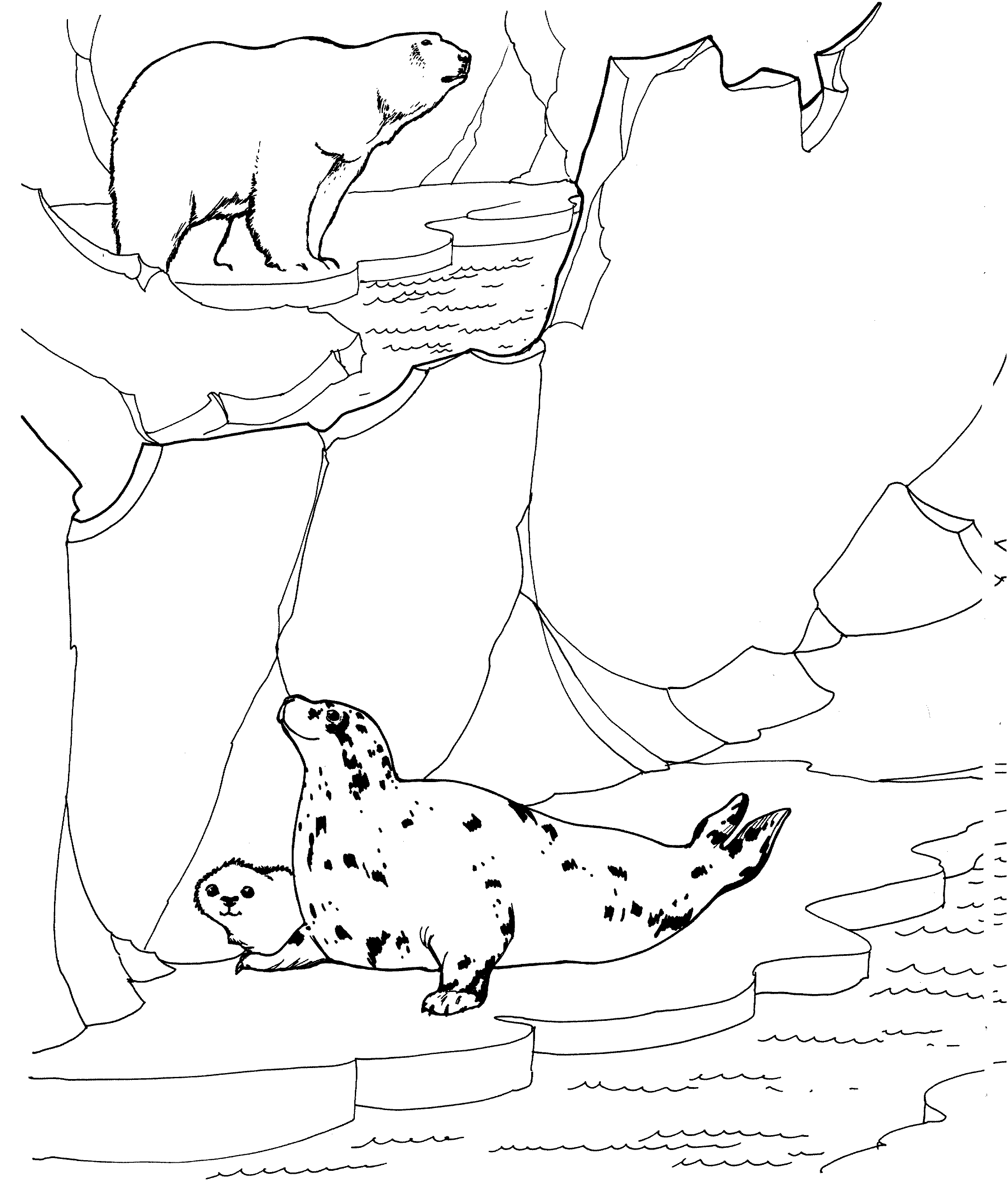 2372x2780 Free Seal Coloring Pages
