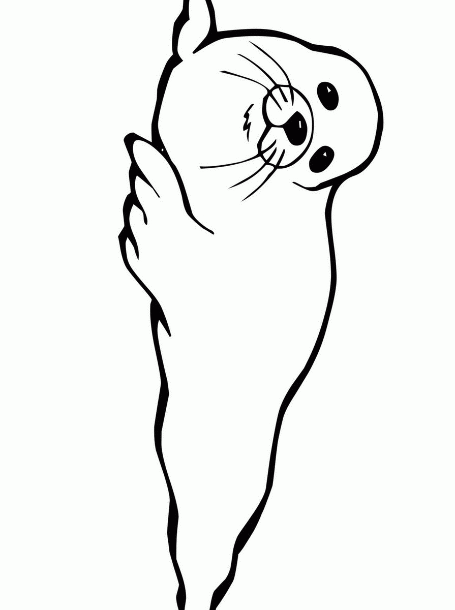 895x1200 Hawaiian Monk Seal Coloring Page Free Printable Ribbon Seals
