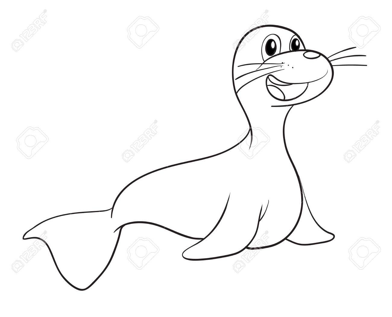 1300x1052 Illustration Of A Seal Sketch On A White Background Royalty Free