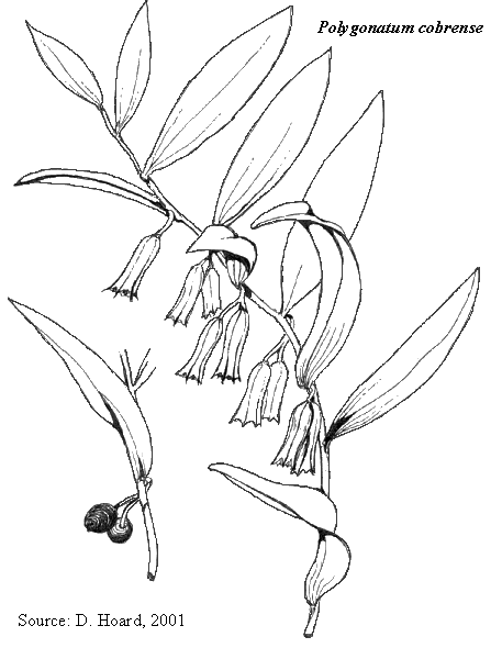 457x590 Rare Plant List