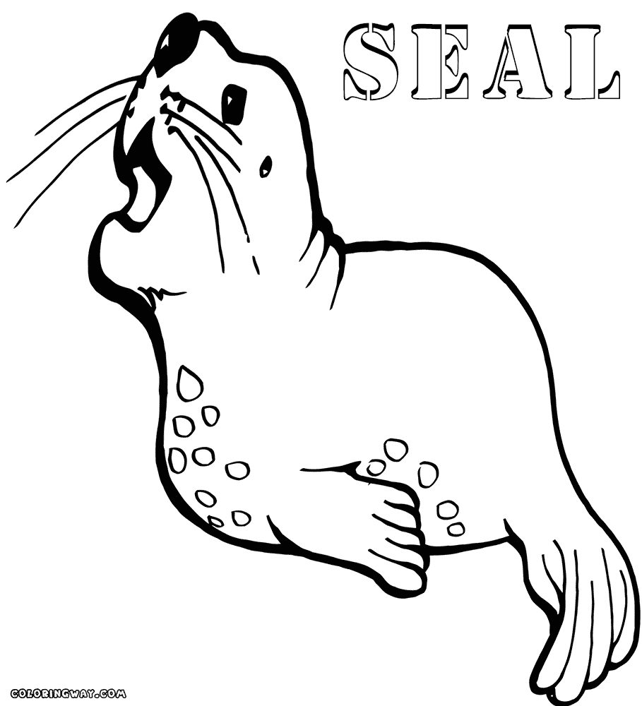 Seal Line Drawing at GetDrawings | Free download