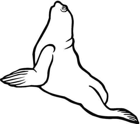 480x424 Seals