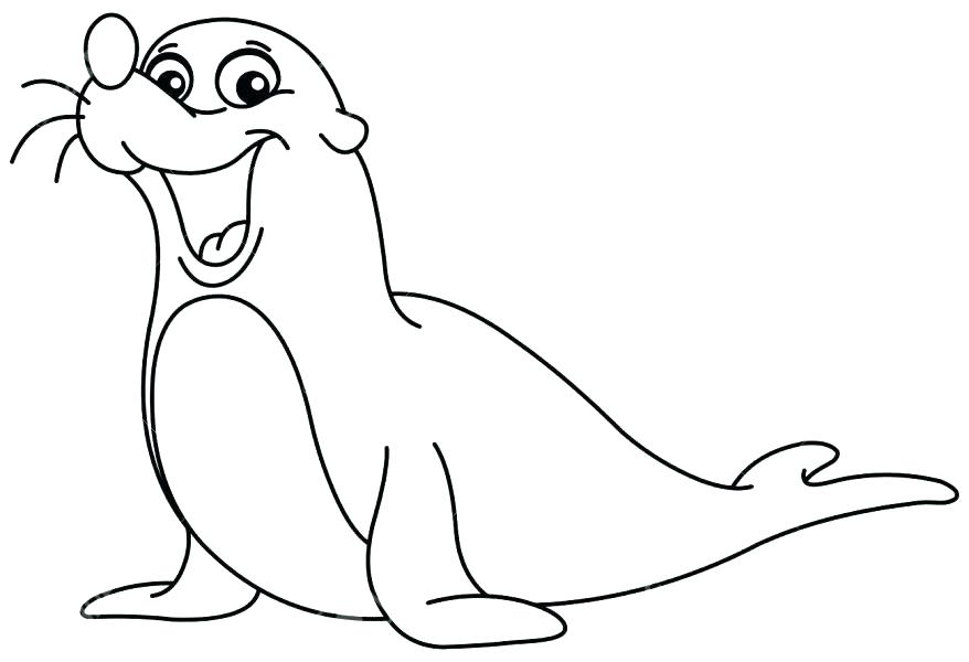 878x600 Pretty Seal Coloring Pages Best