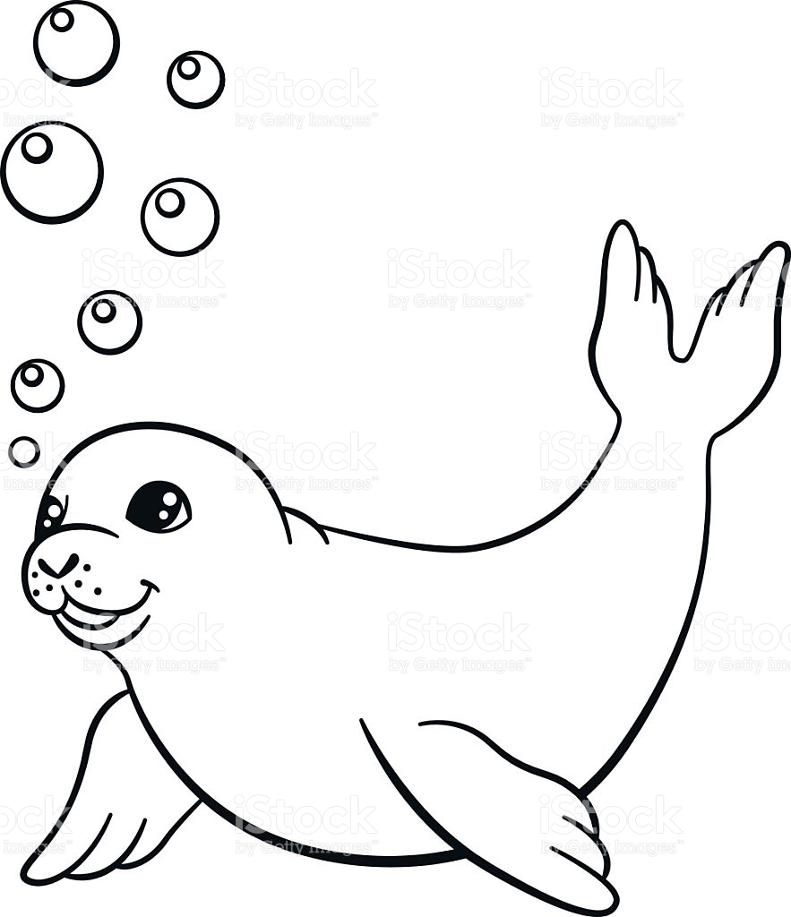 883x1024 Seal Coloring Pages