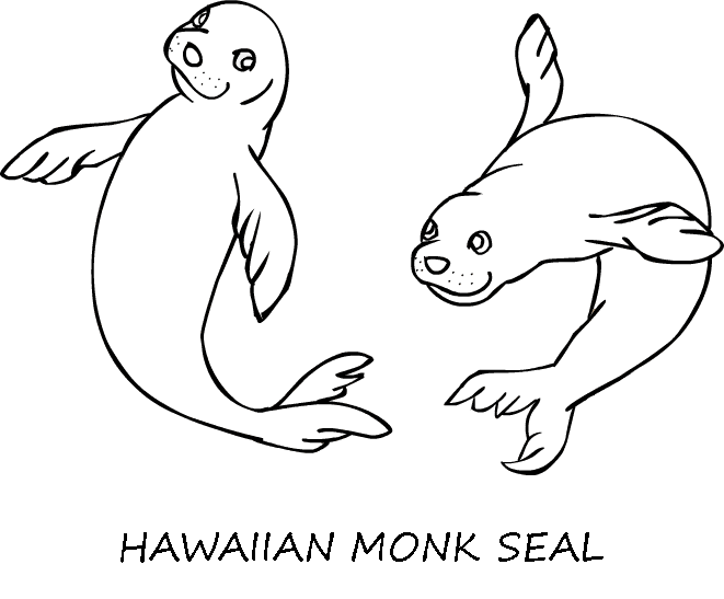 661x547 Top 82 Seal Coloring Pages