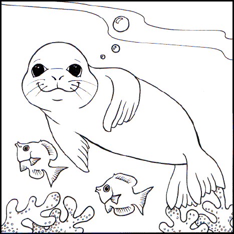 467x467 Unique Seal Coloring Pages Seals Free