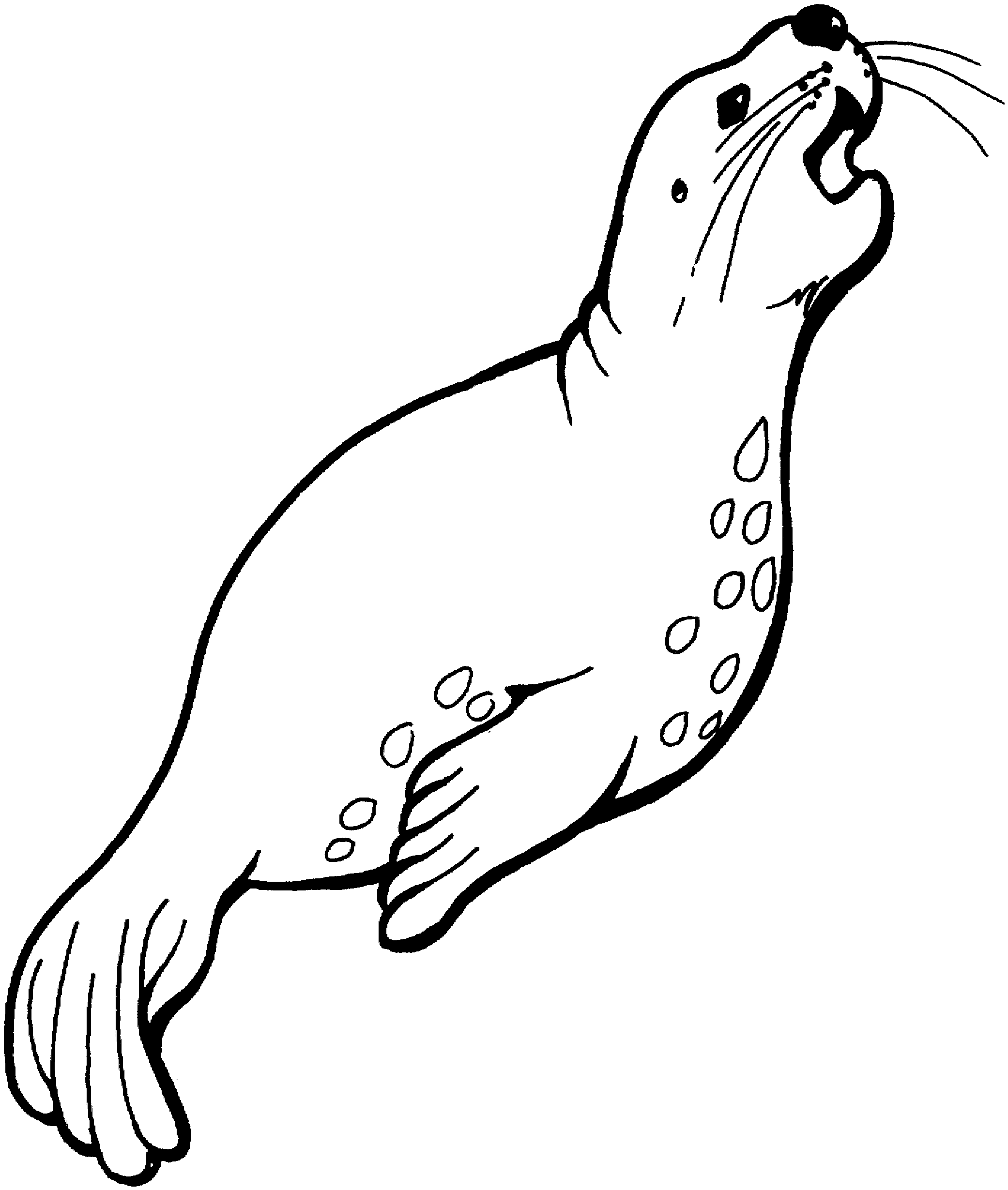 2082x2459 Free Seal Coloring Pages