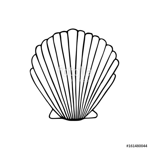 500x500 Sea Shell Doodle Drawing, Vector Illustration Isolated On White