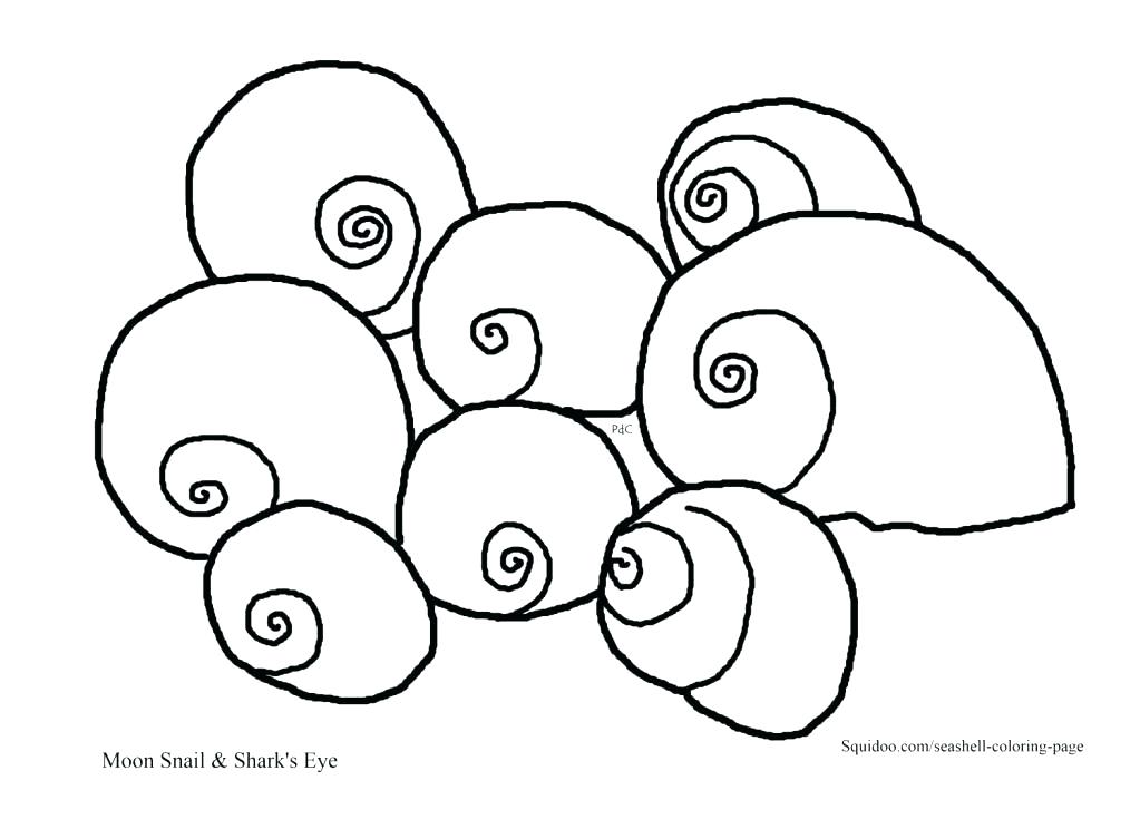 1023x744 Seashell Coloring Page Decorative Sea Shell Outline Drawing
