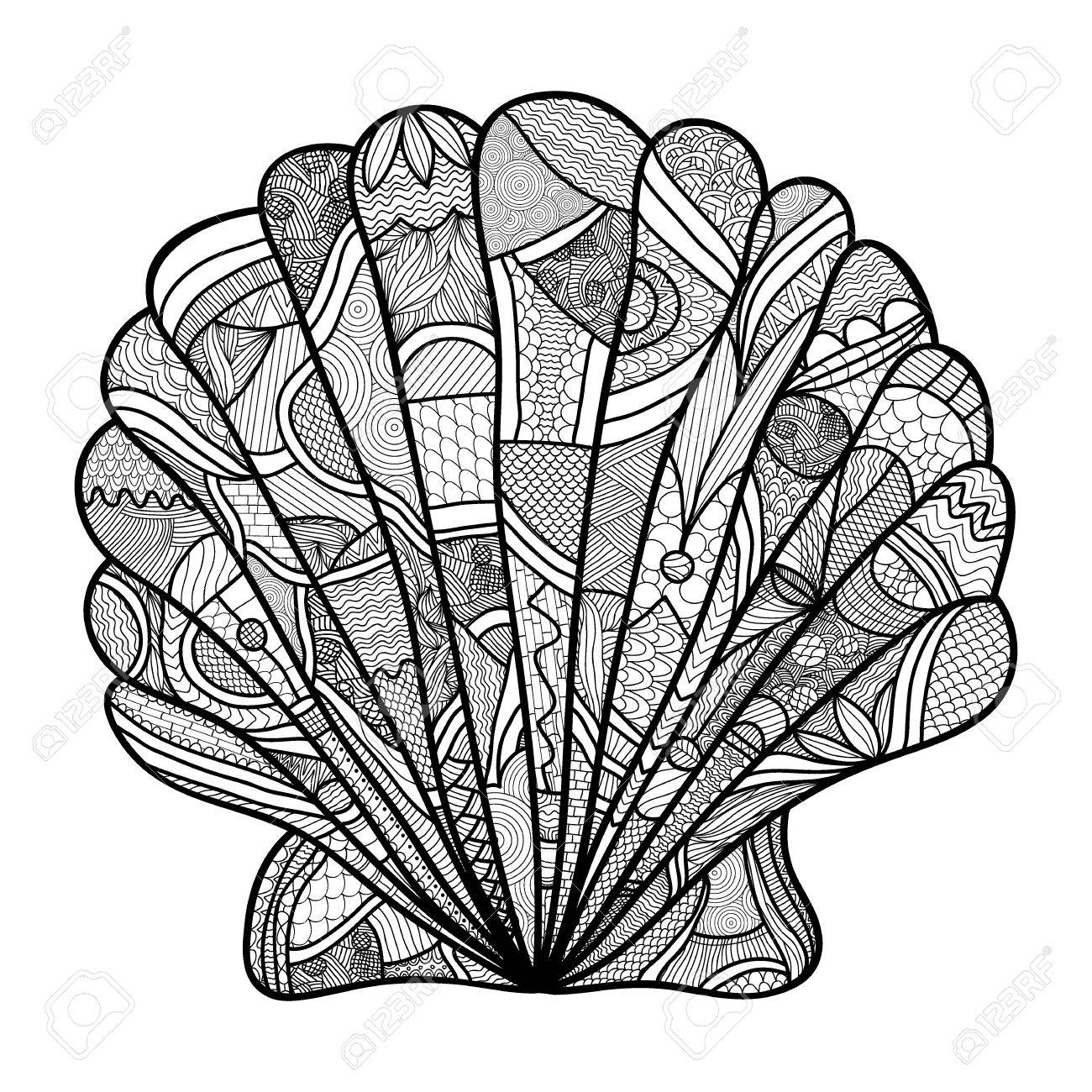 1300x1300 Seashell. Hand Drawn Shell