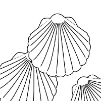 200x200 Drawing Shell